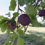 بيت للعطل La Selve D'autan Caraman