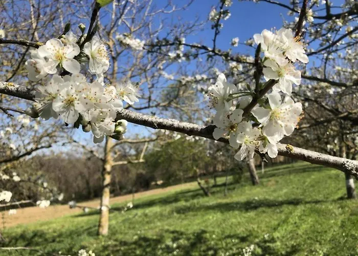 Gite la selve d'autan